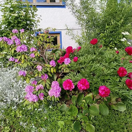 Blaues Haeuschen Дом отдыха Гёссендорф
